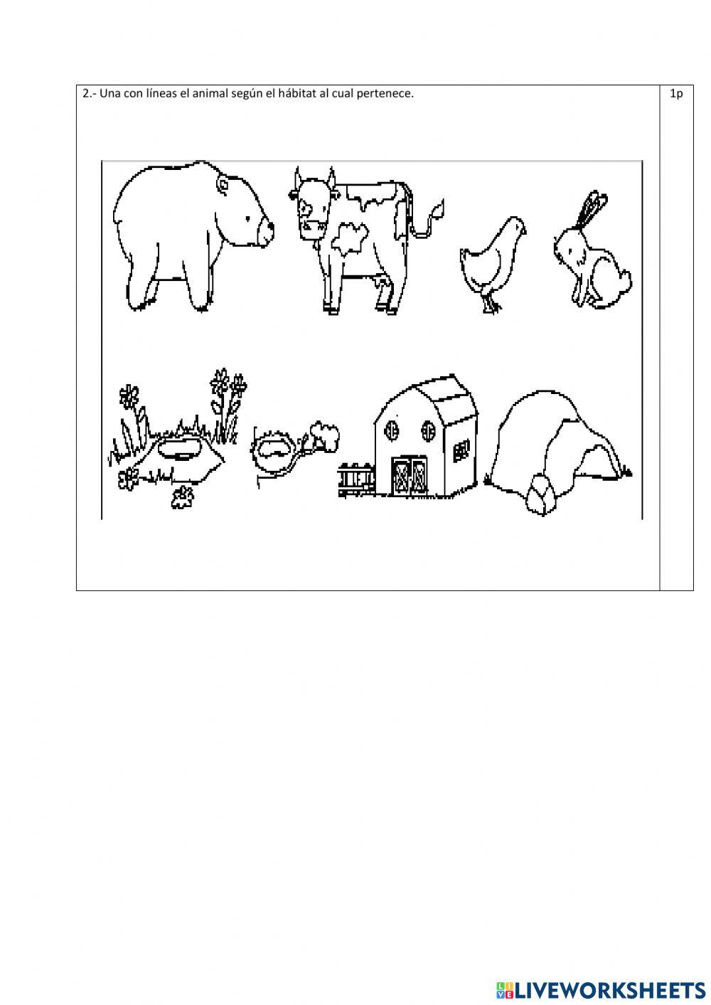 Ciencias Naturales exam