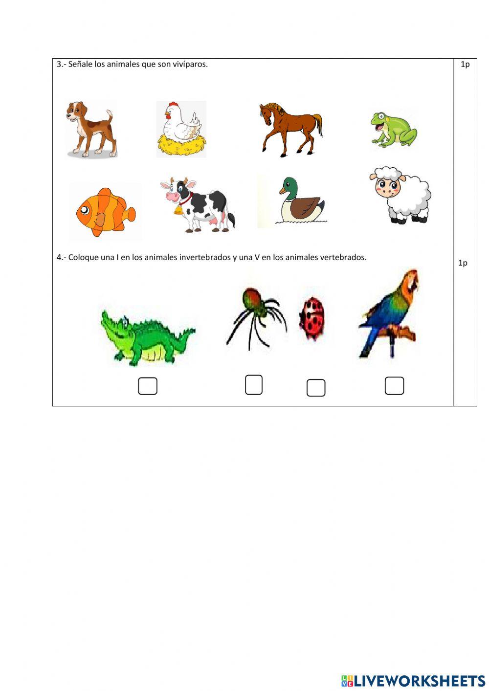 Ciencias Naturales exam