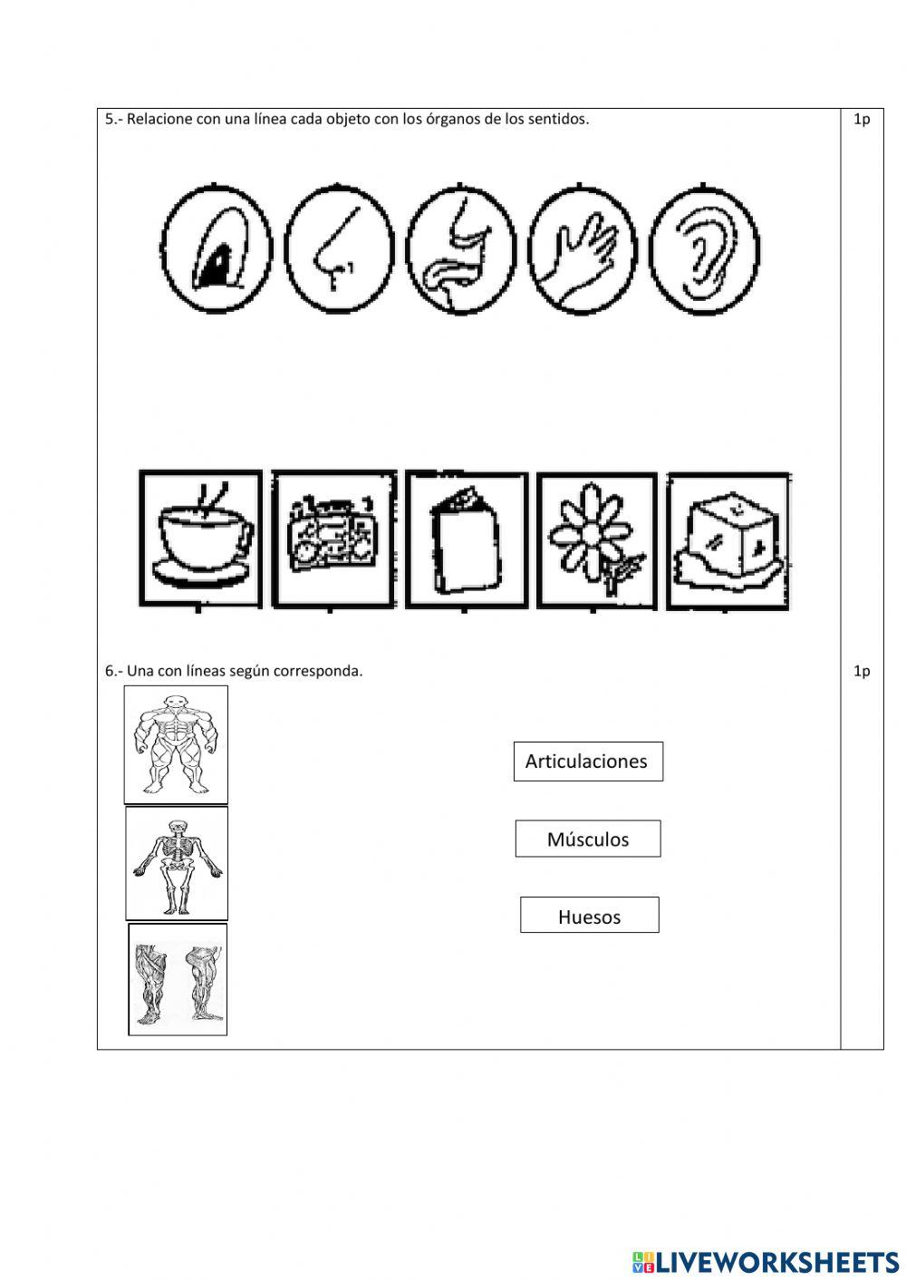 Ciencias Naturales exam
