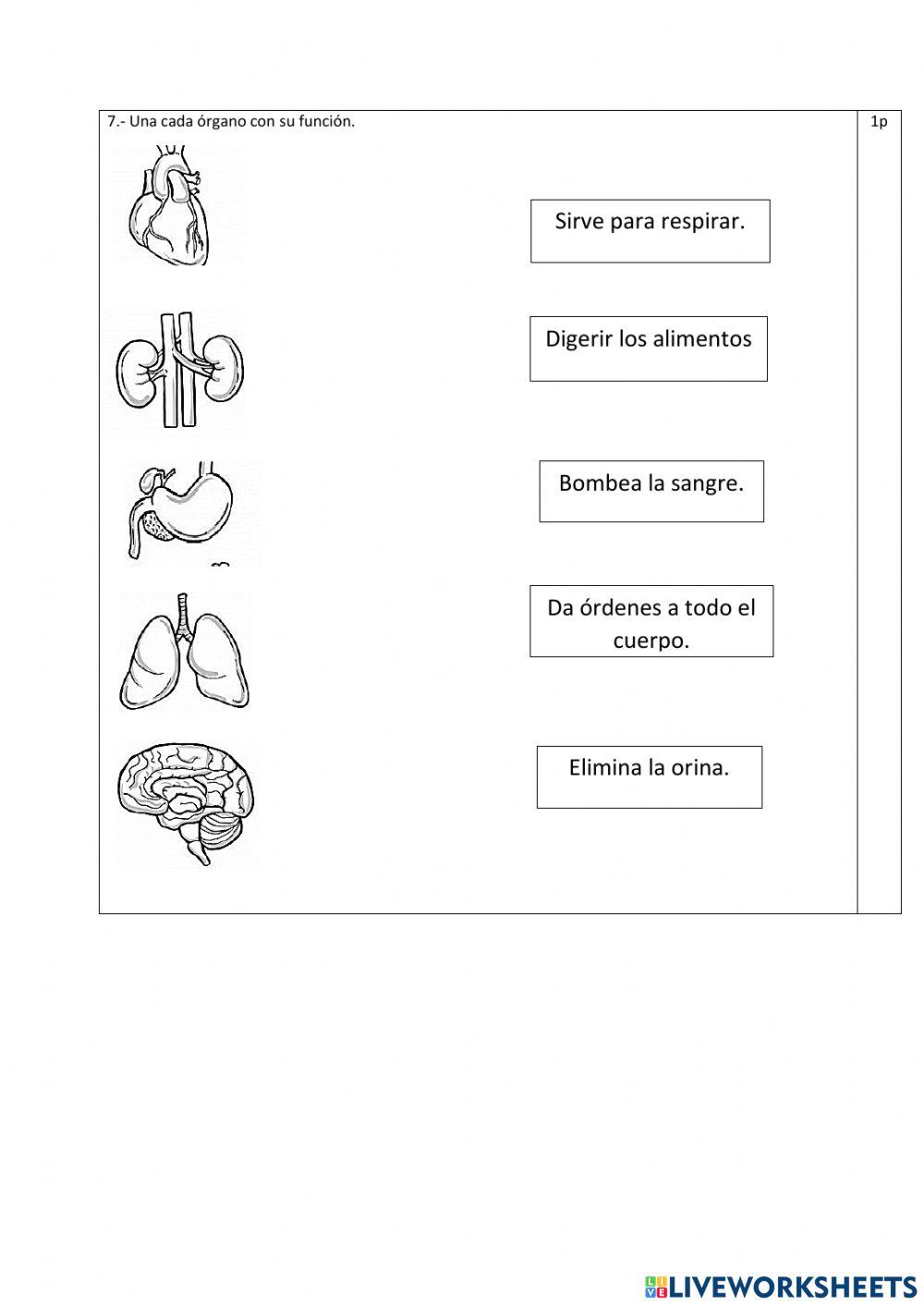 Ciencias Naturales exam