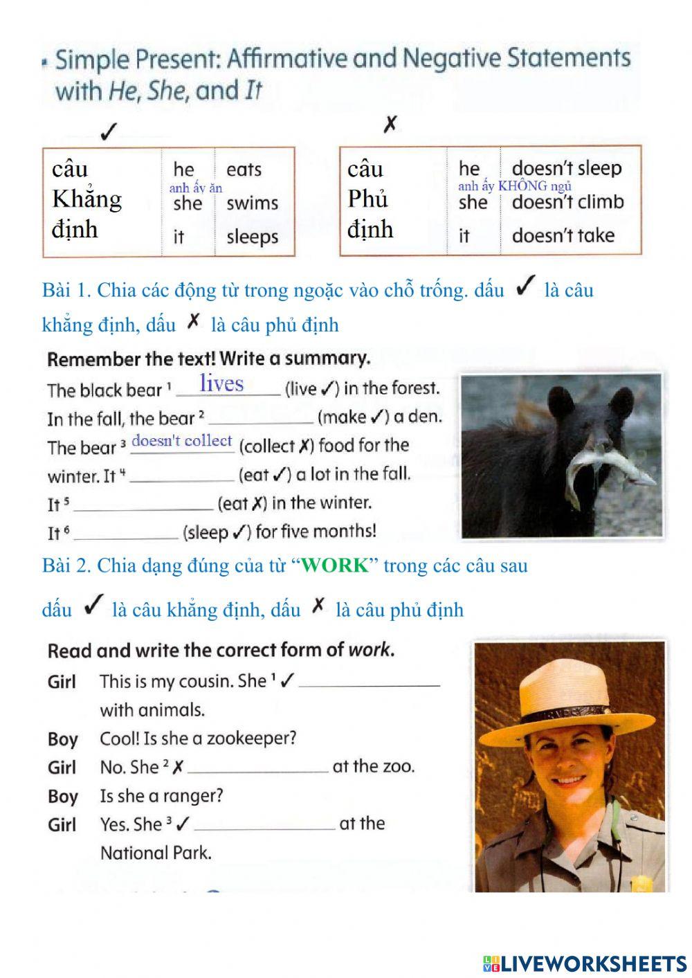 1798413 | He-she-it present simple | Lo Hang