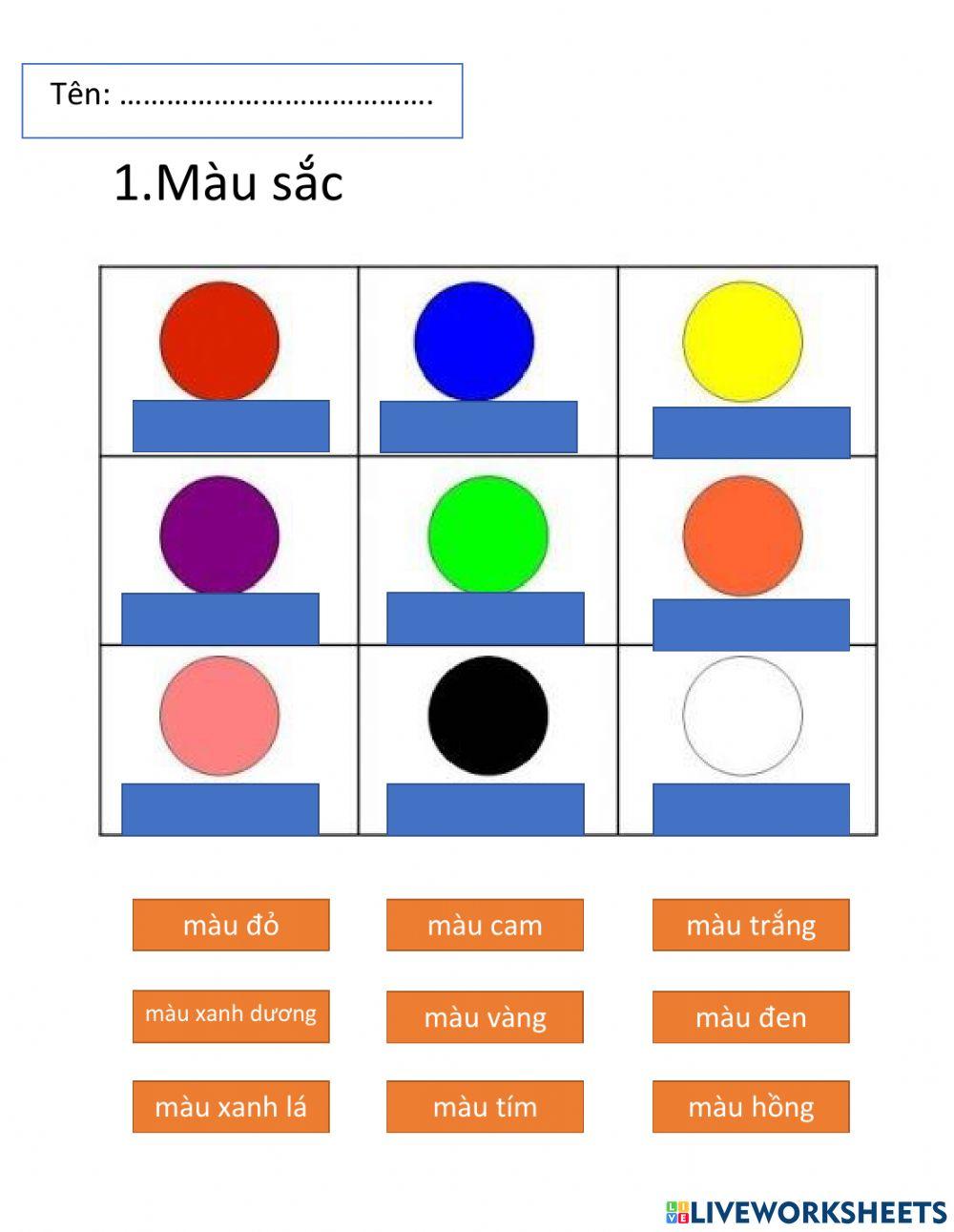 Vietnamese for Expat students