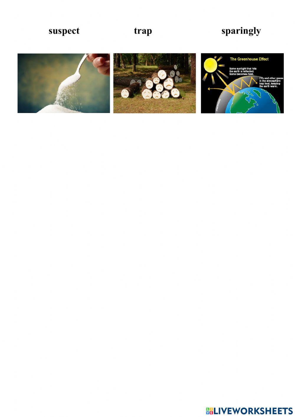 Vocabulary Unit 7 English 8