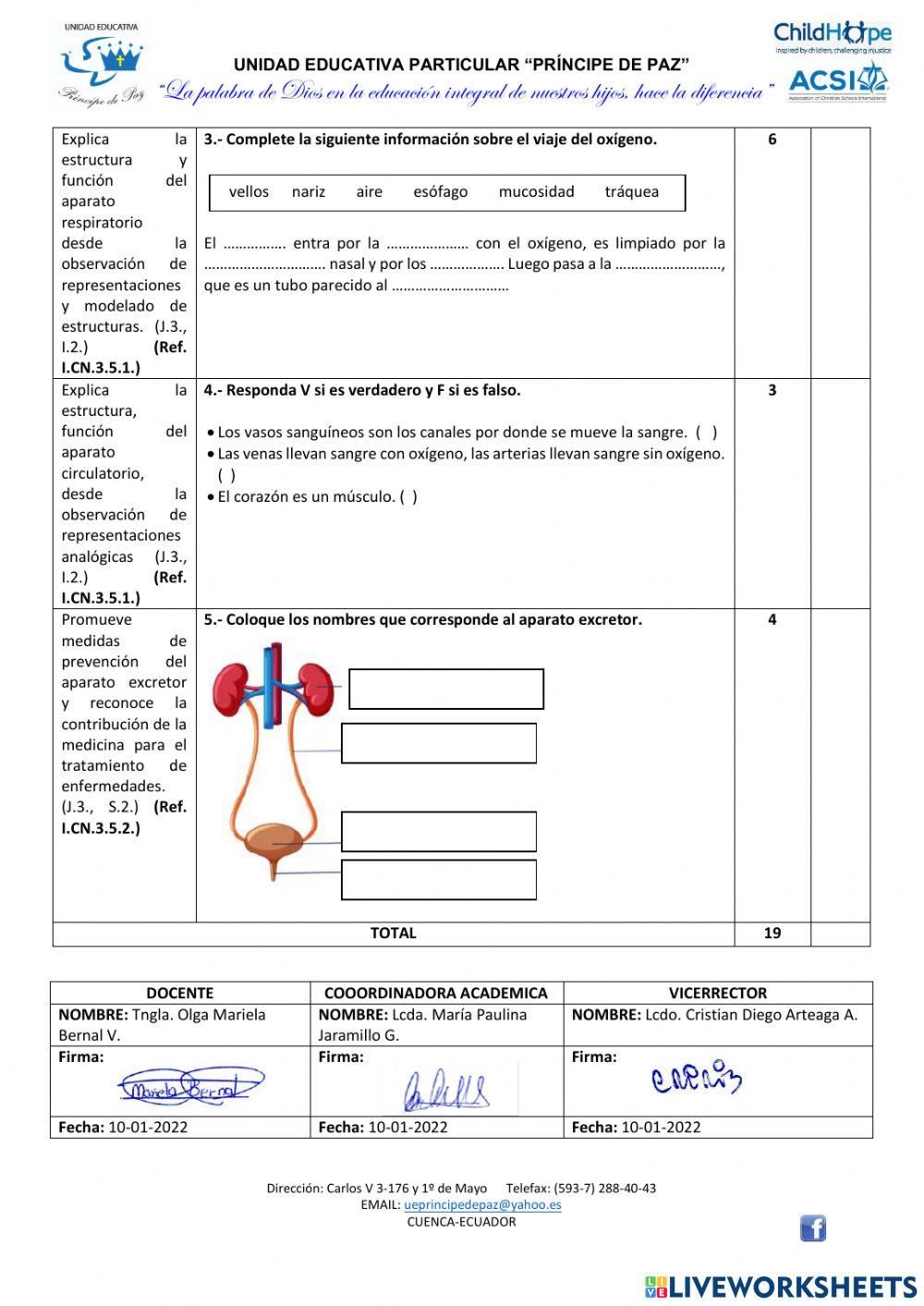 Prueba Ciencias Naturales