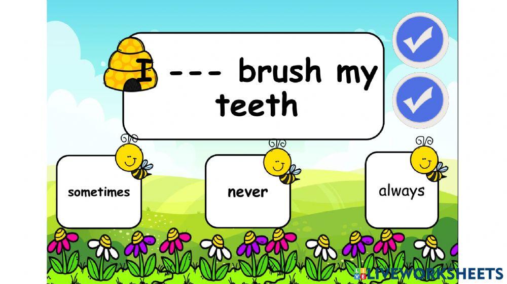 Always-sometimes-never