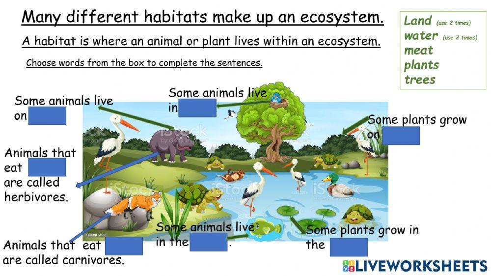Ecosystems and Habitats