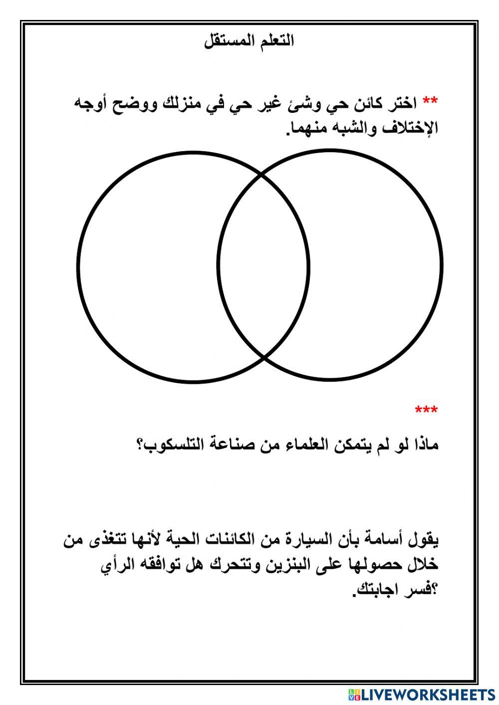 الأشياء المصنعة
