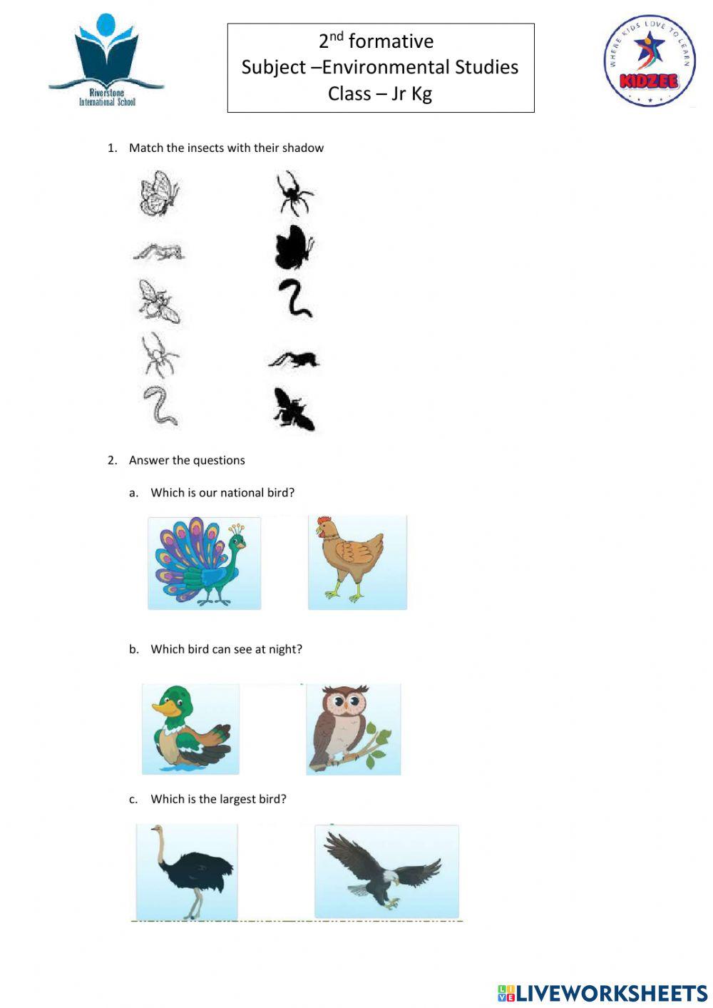 Jr Kg EvS Worksheet Live Worksheets 50% OFF Jr Kg EvS Worksheet Live Worksheets 50% OFF
