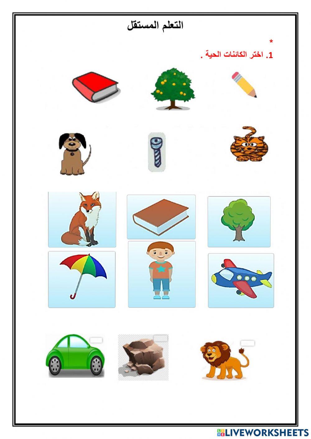 الكائنات الحية