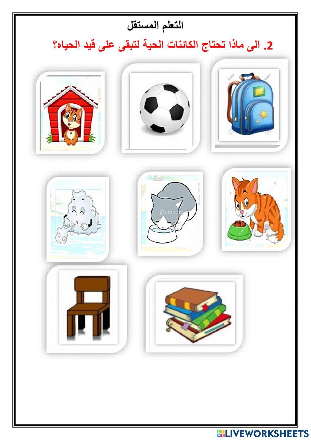 الكائنات الحية والأشياء غير الحية