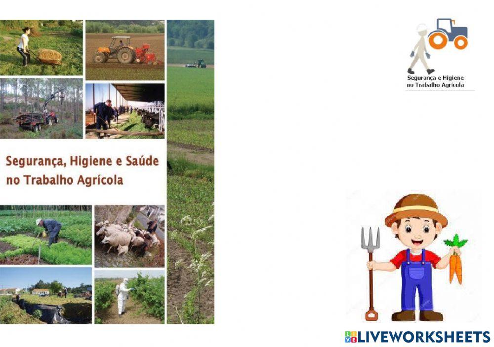 Segurança e Higiene no Trabalho