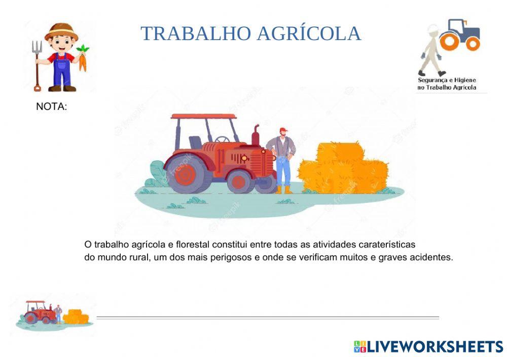 Segurança e Higiene no Trabalho