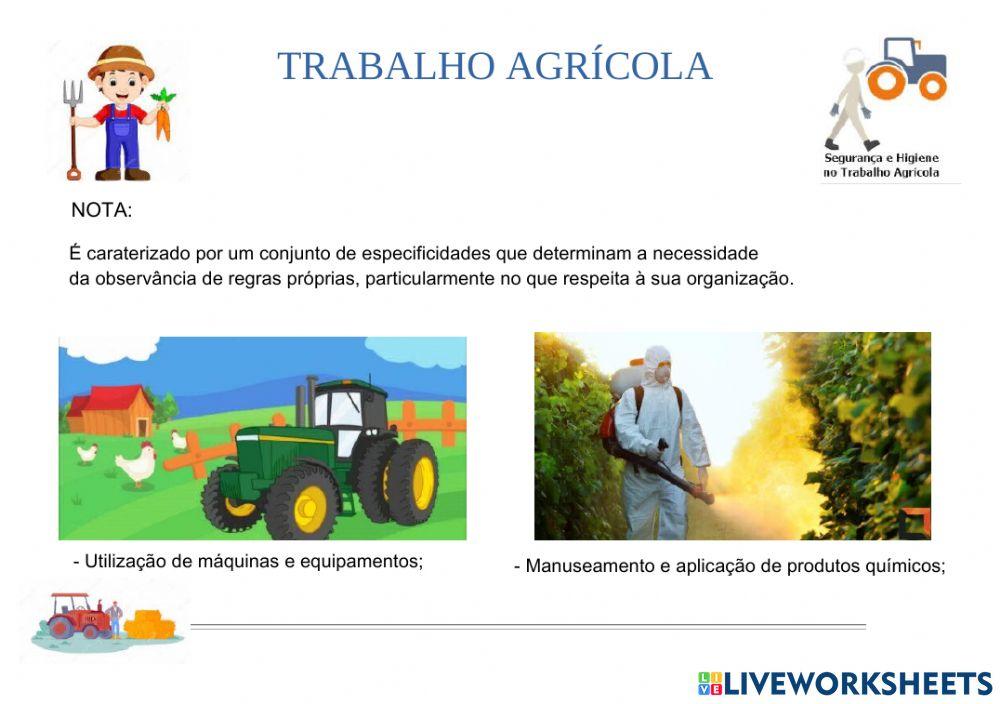 Segurança e Higiene no Trabalho