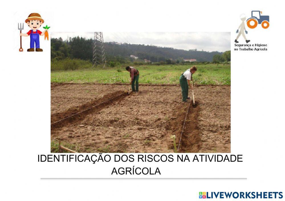 Segurança e Higiene no Trabalho