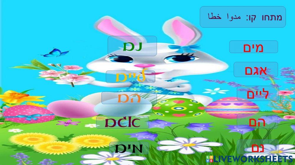 האות  ם  בכתב יד