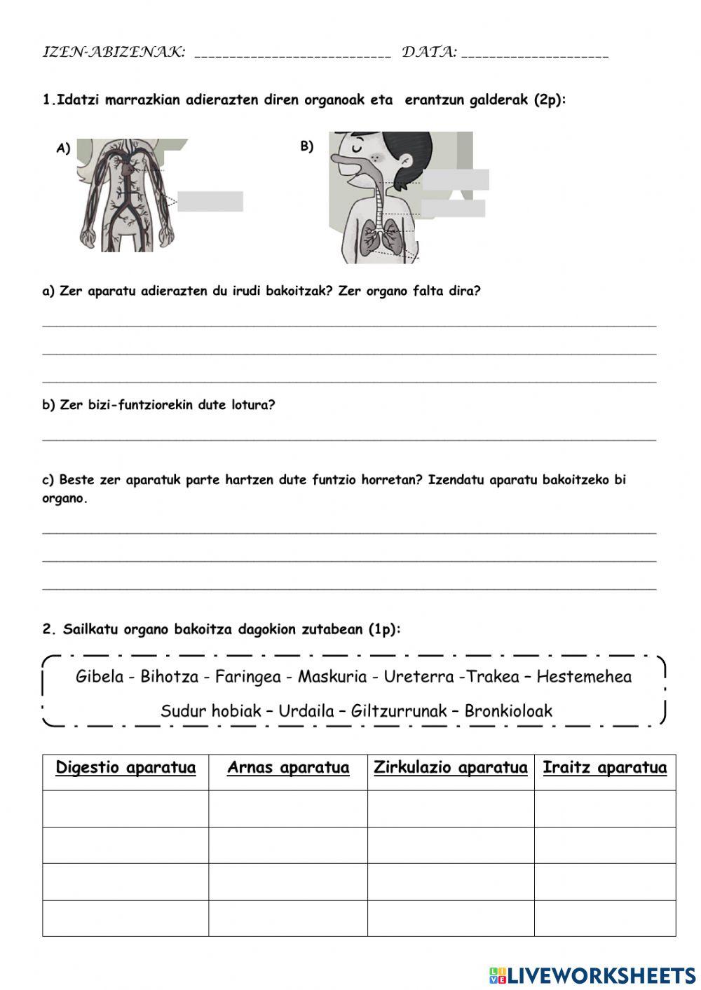 Natura (nutrizio funtzioak)