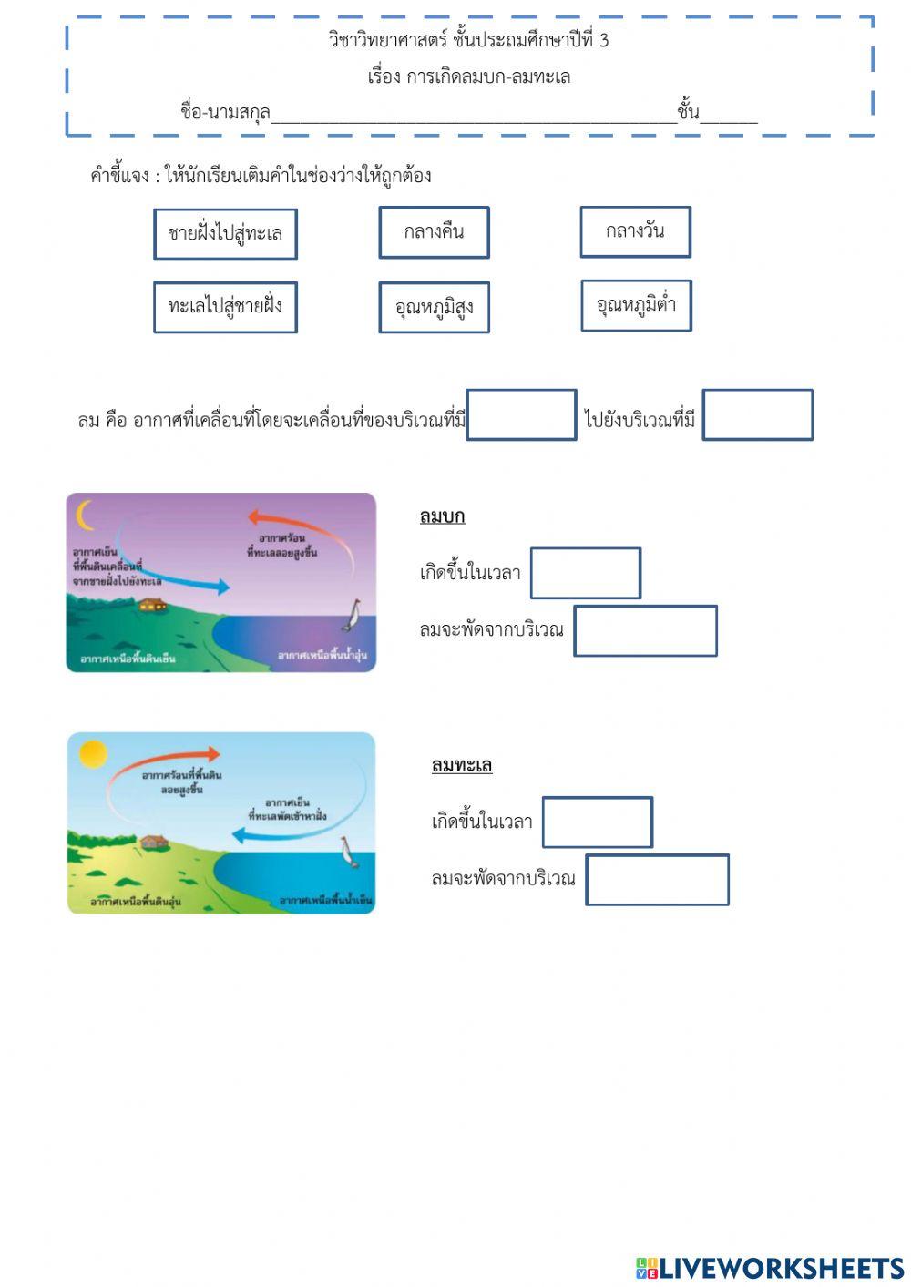 ใบงานที่14 ป.3
