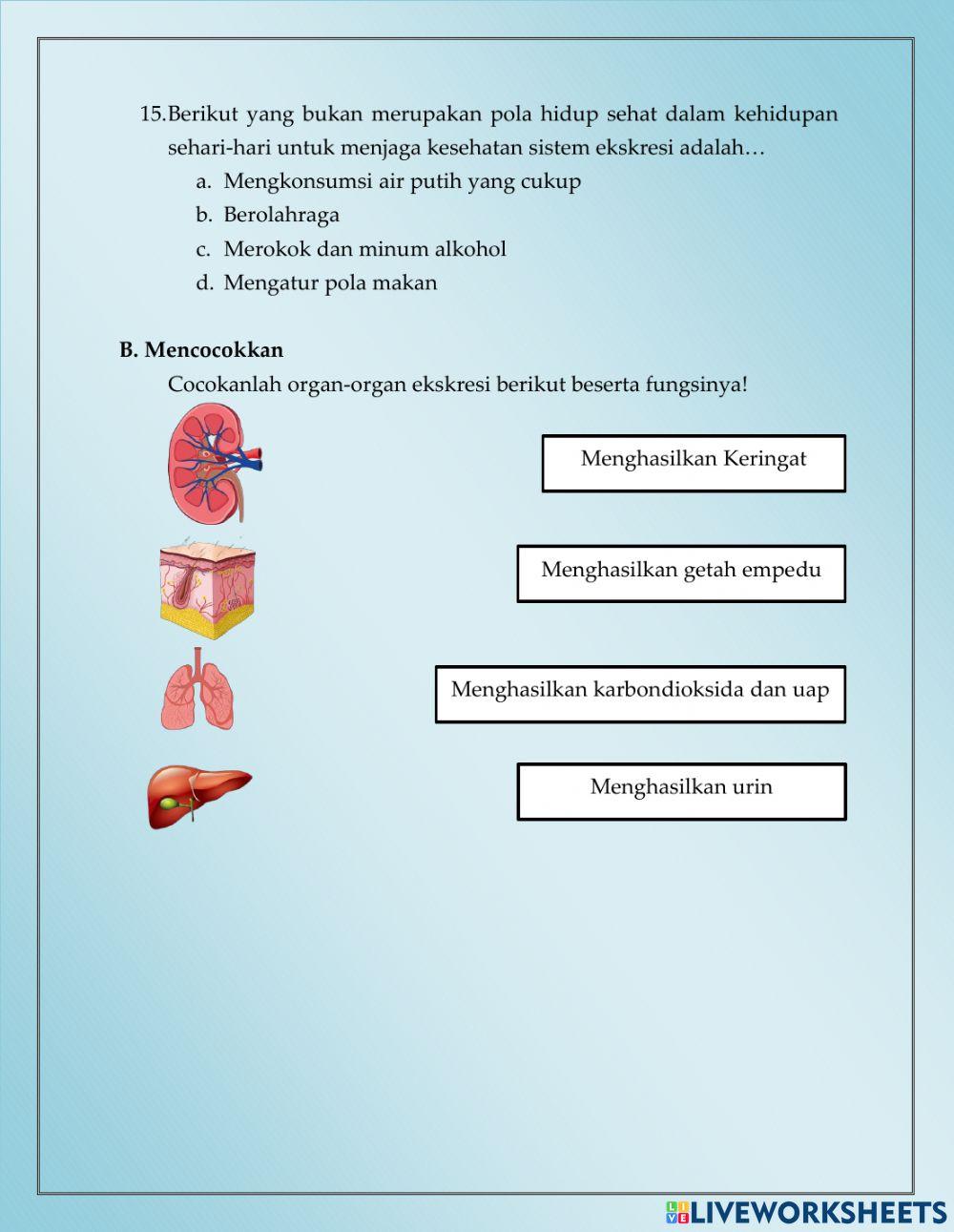 Soal Uji Pemahaman Sistem Ekskresi Manusia Kelas VIII