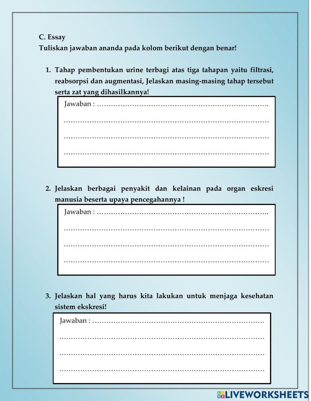 Soal Uji Pemahaman Sistem Ekskresi Manusia Kelas VIII