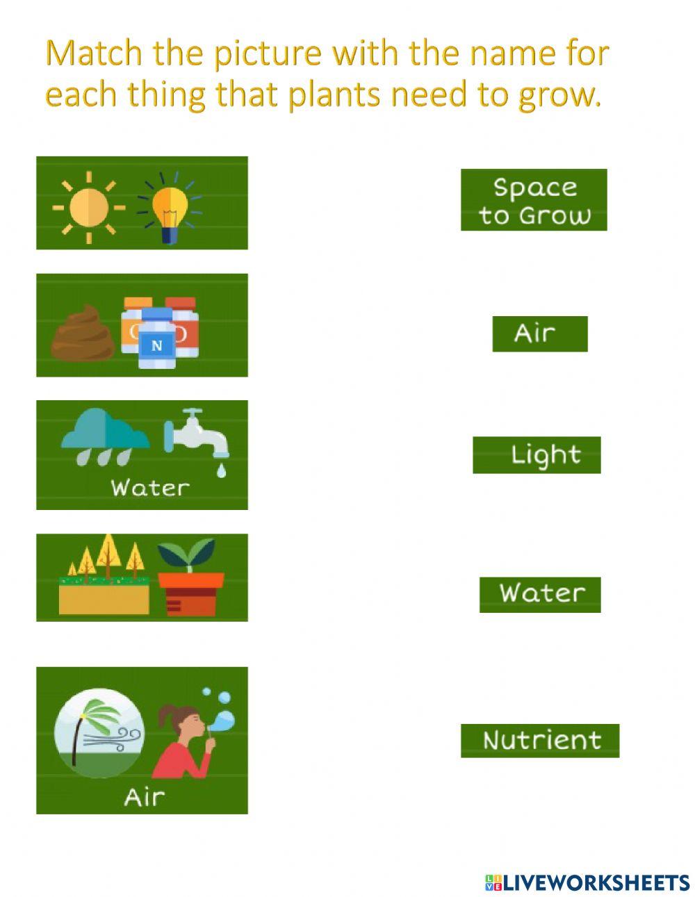 What plants need to grow
