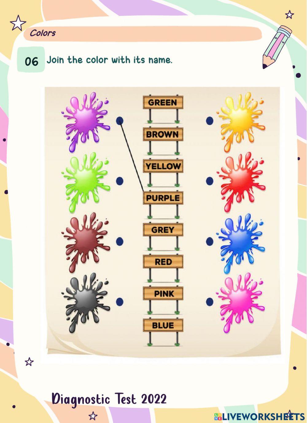 Diagnostic test 2022 second grade