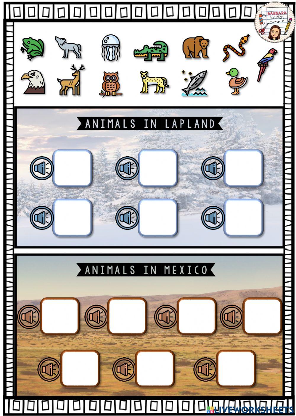 Lapland vs Mexican Animals