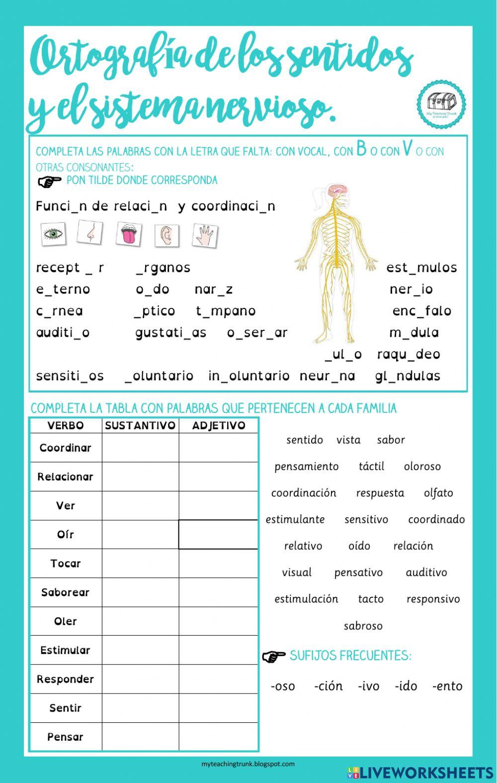 Ortografía y familias de palabras: los sentidos y el sistema nervioso