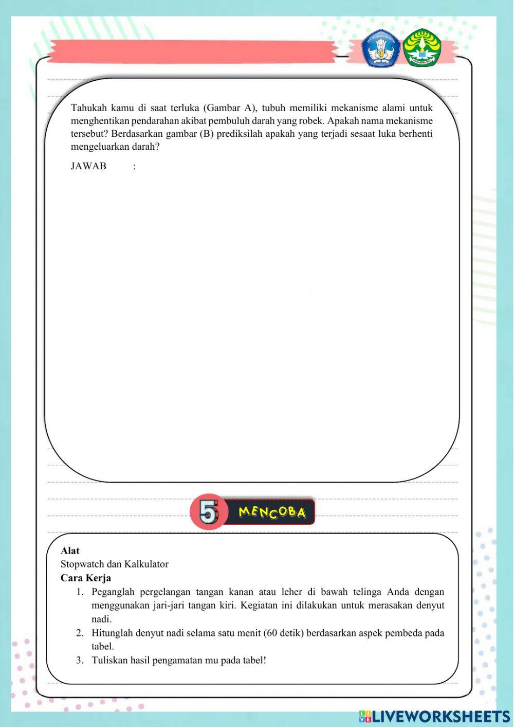 Sistem peredaran darah