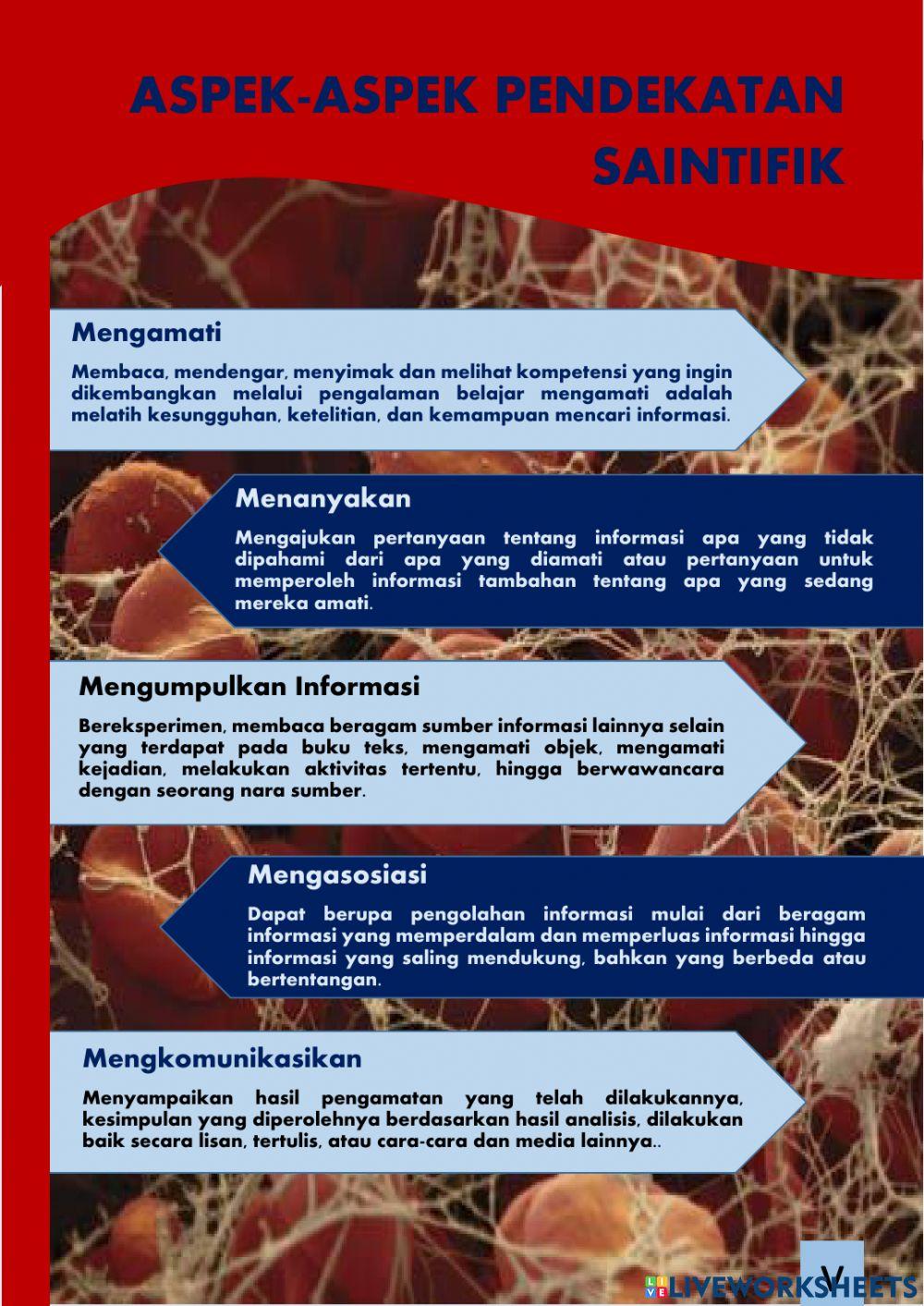 Lembar Kerja Peserta Didik berbasis Pendekatan Saintifik pada Materi Sistem Peredran Darah