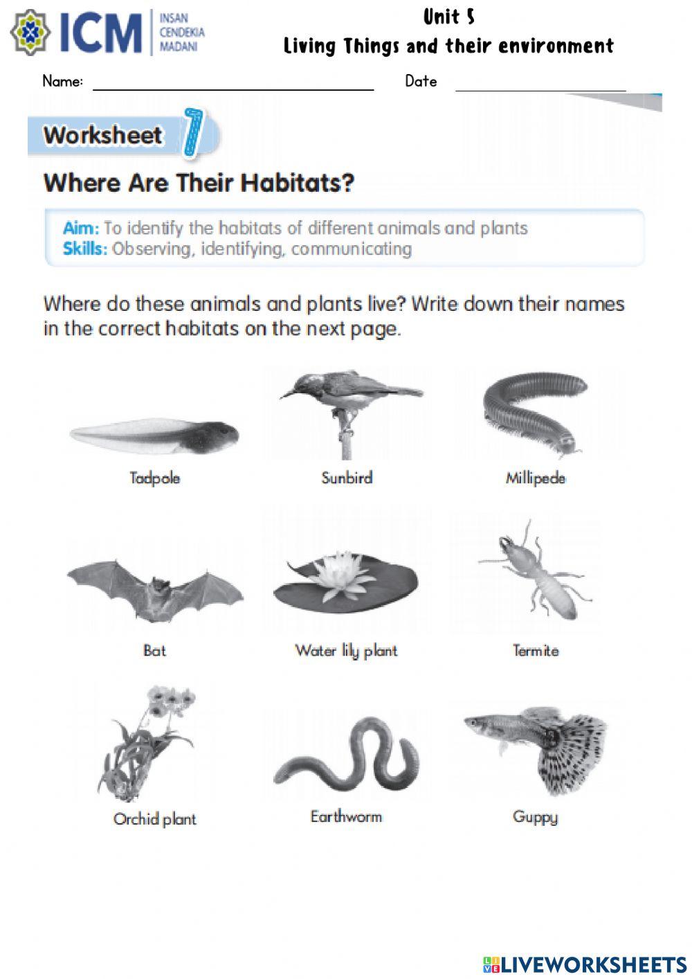 Where Are Their Habitat?
