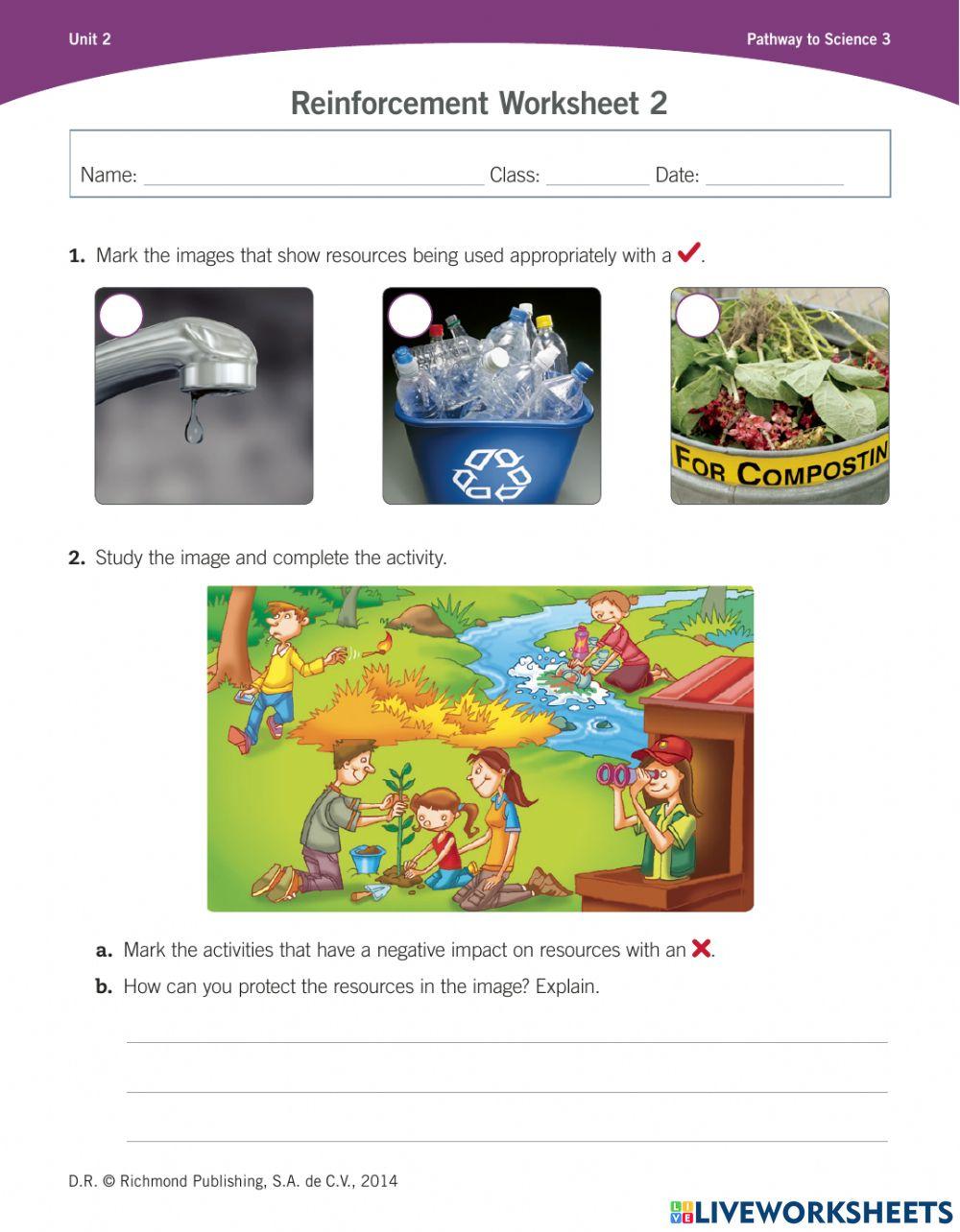 Reinforcement worksheet
