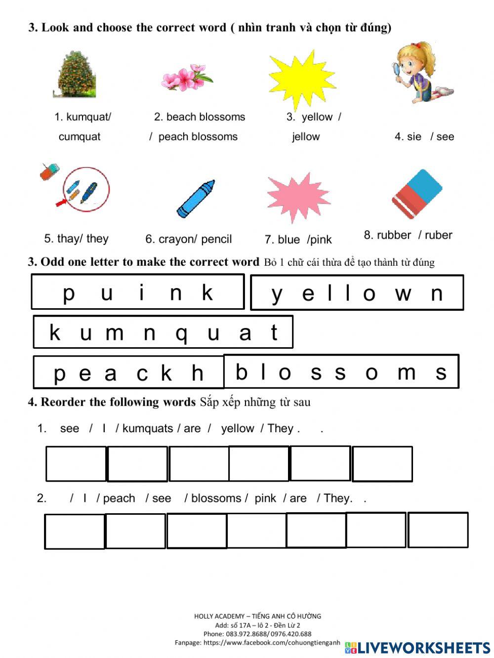 Ice-cream-Tet Holiday-L1