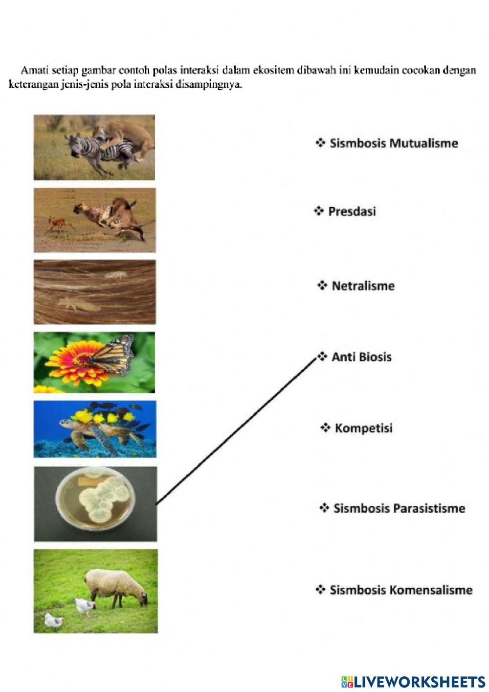 Interaksi Makhluk Hidup dengan Lingkungan