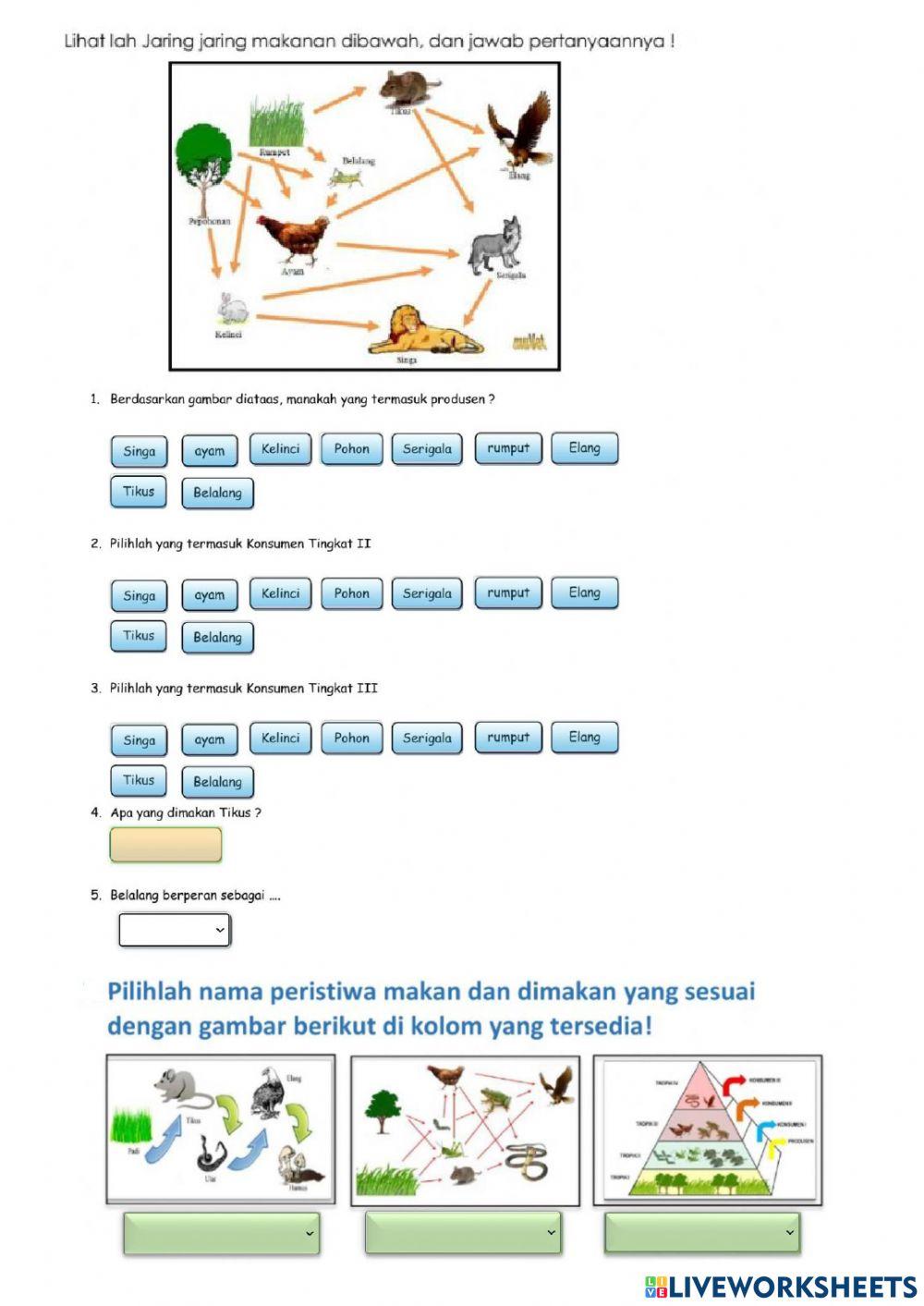 Interaksi Makhluk Hidup dengan Lingkungan