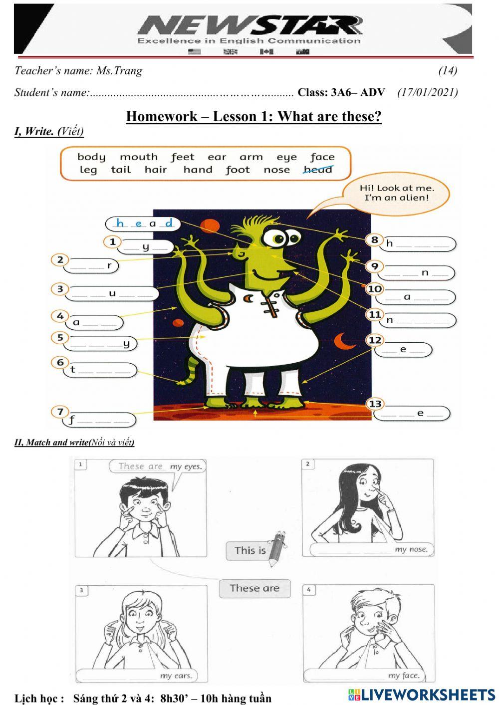 3A6-Lesson 1-What are these?