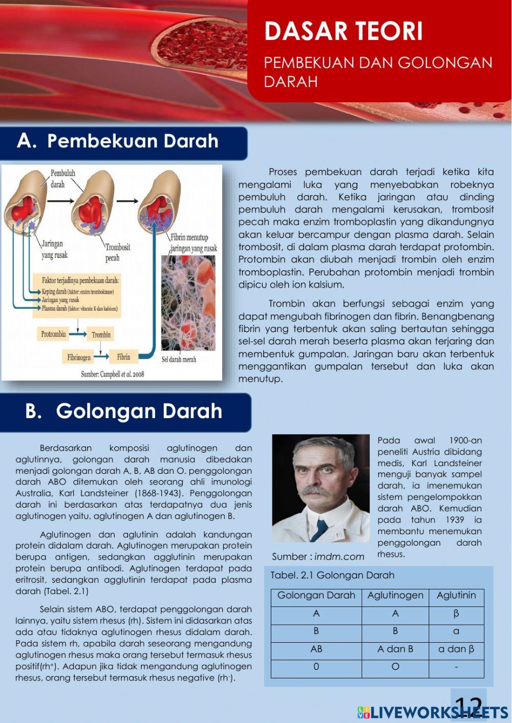 LKPD 2 Penggolongan dan Pembekuan Darah