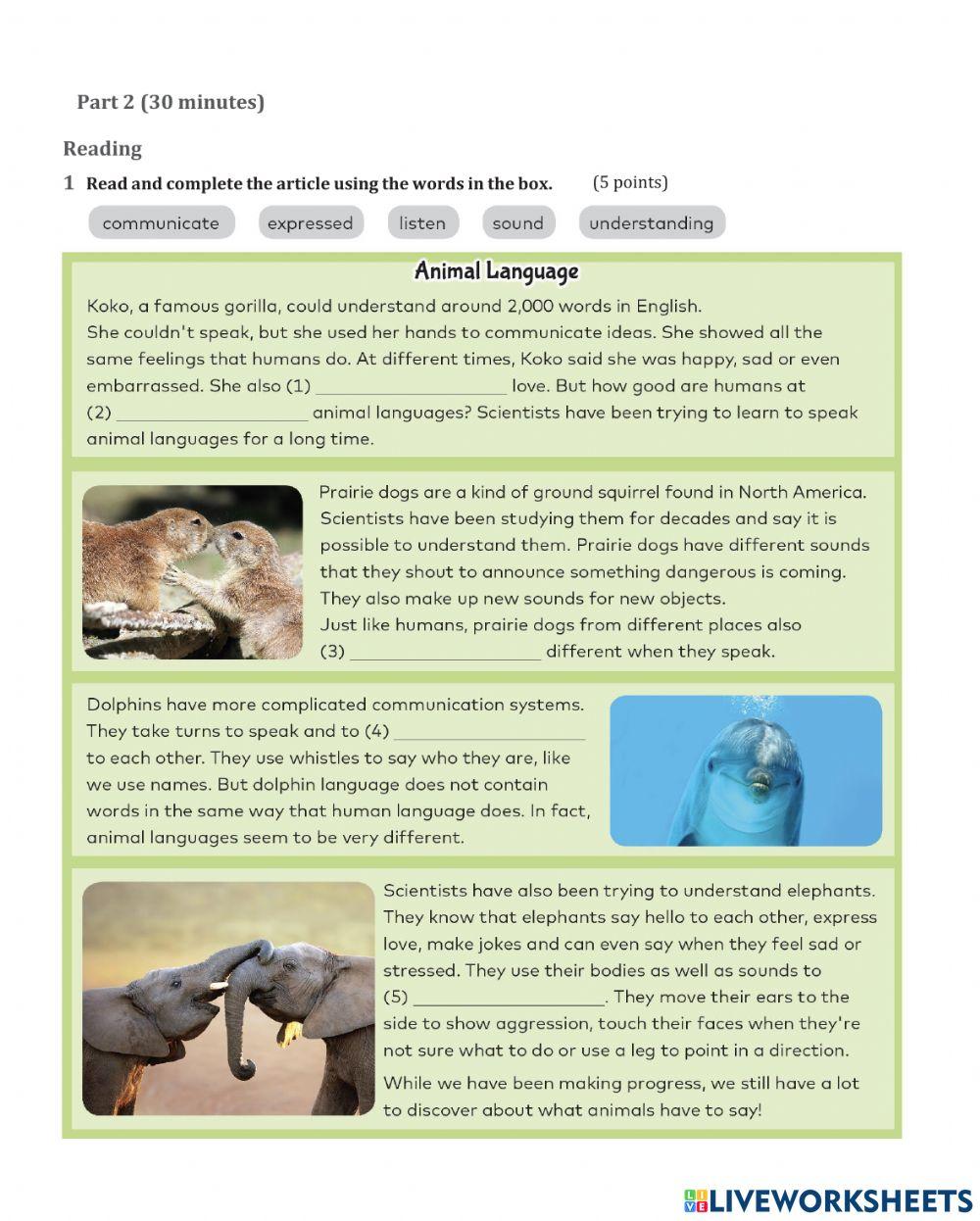 7th Grade review part A