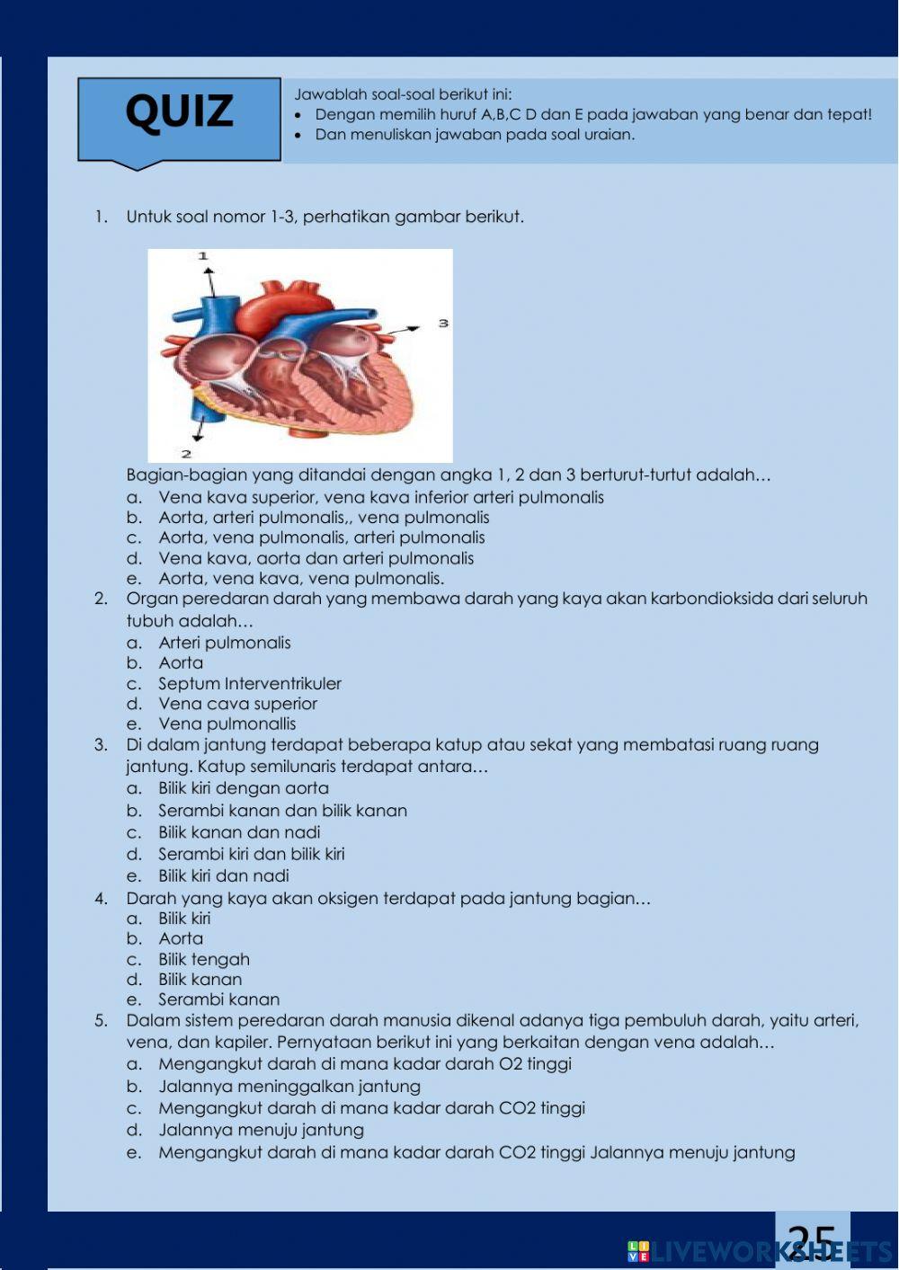 LKPD 3 Organ dan Mekanisme Peredaran Darah