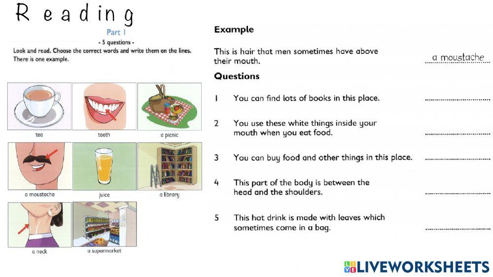 Test review 1 reading movers