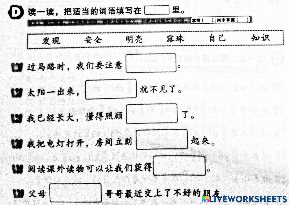 华文 评估 复习