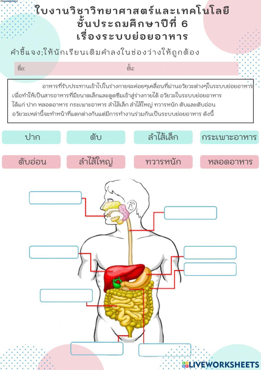 ระบบย่อย1