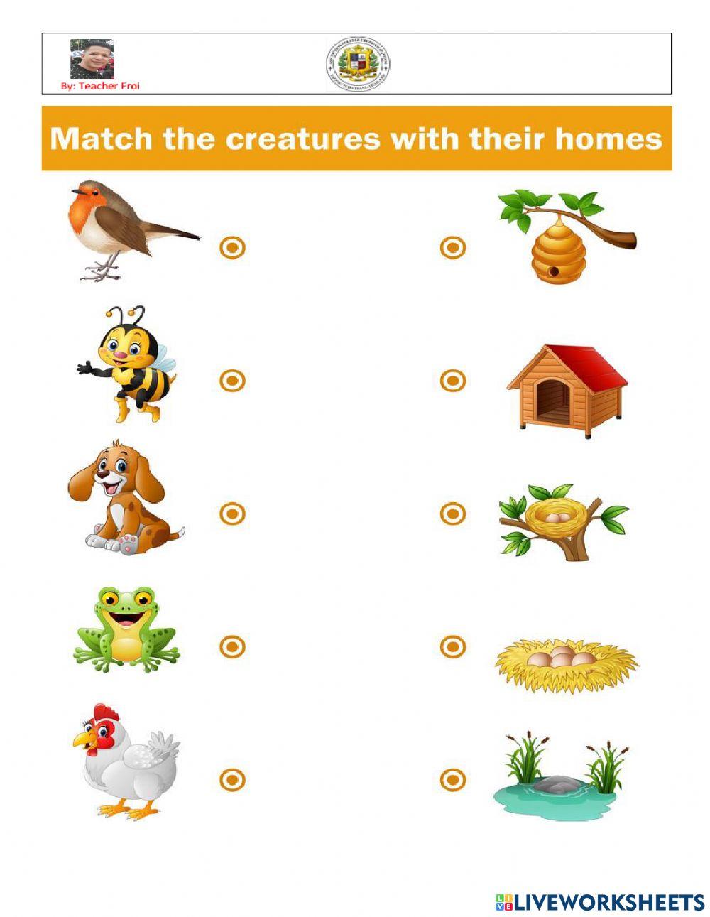 Animal home exercise Live Worksheets