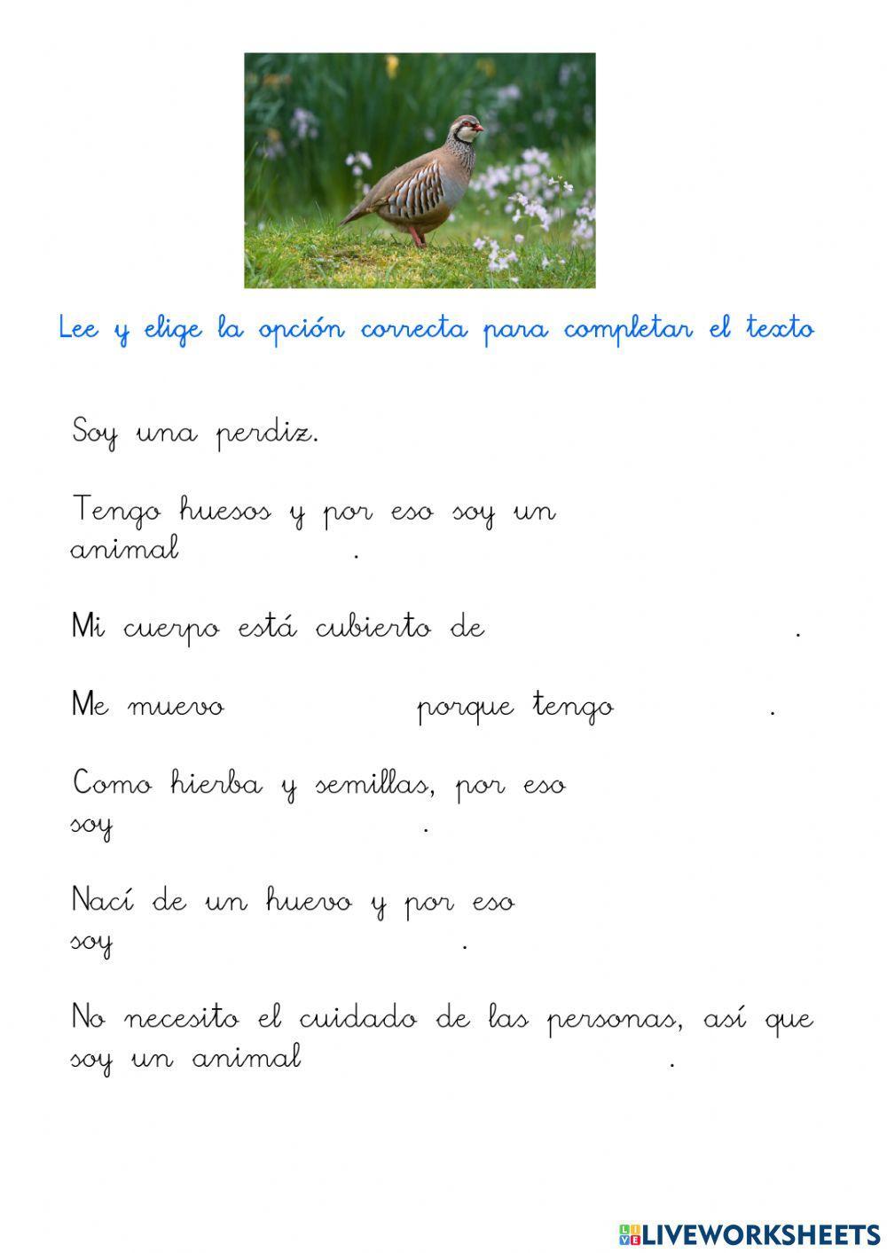 Descripción de un ave. La perdíz