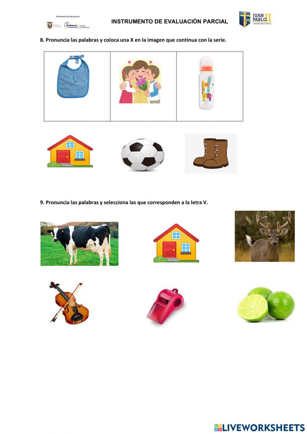 Evaluación de lengua y literatura