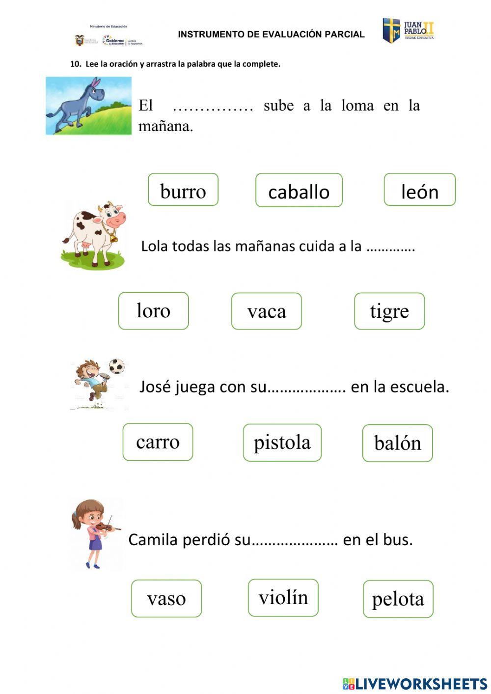 Evaluación de lengua y literatura