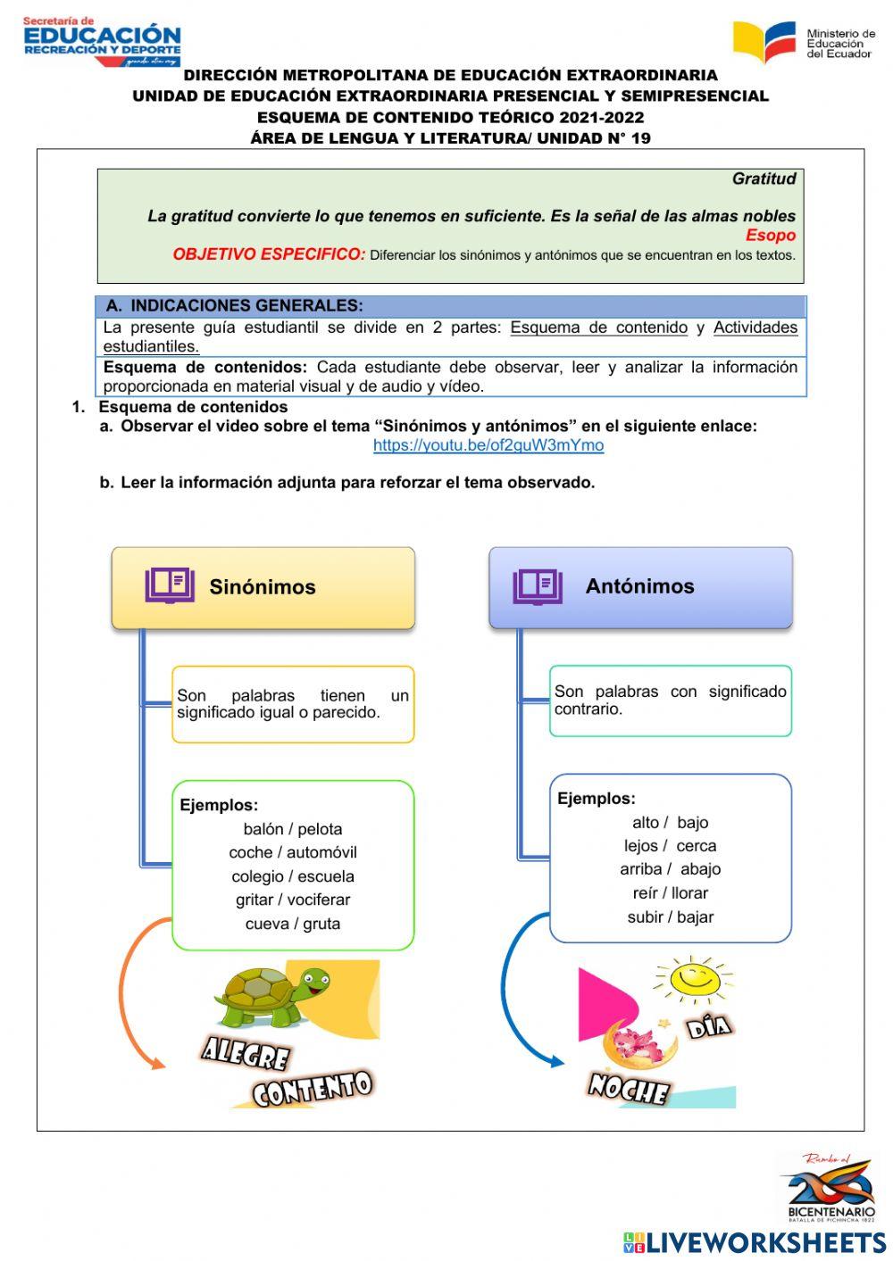 Sinonimos y antonimos