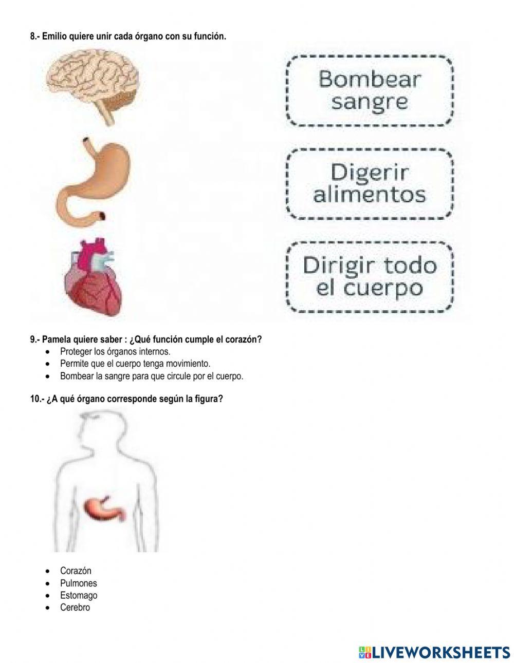 Evaluación ii parcial