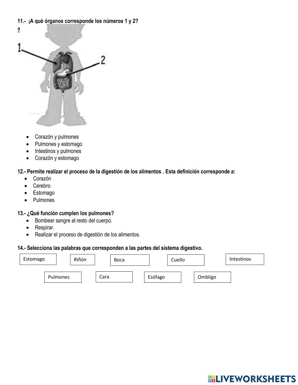 Evaluación ii parcial