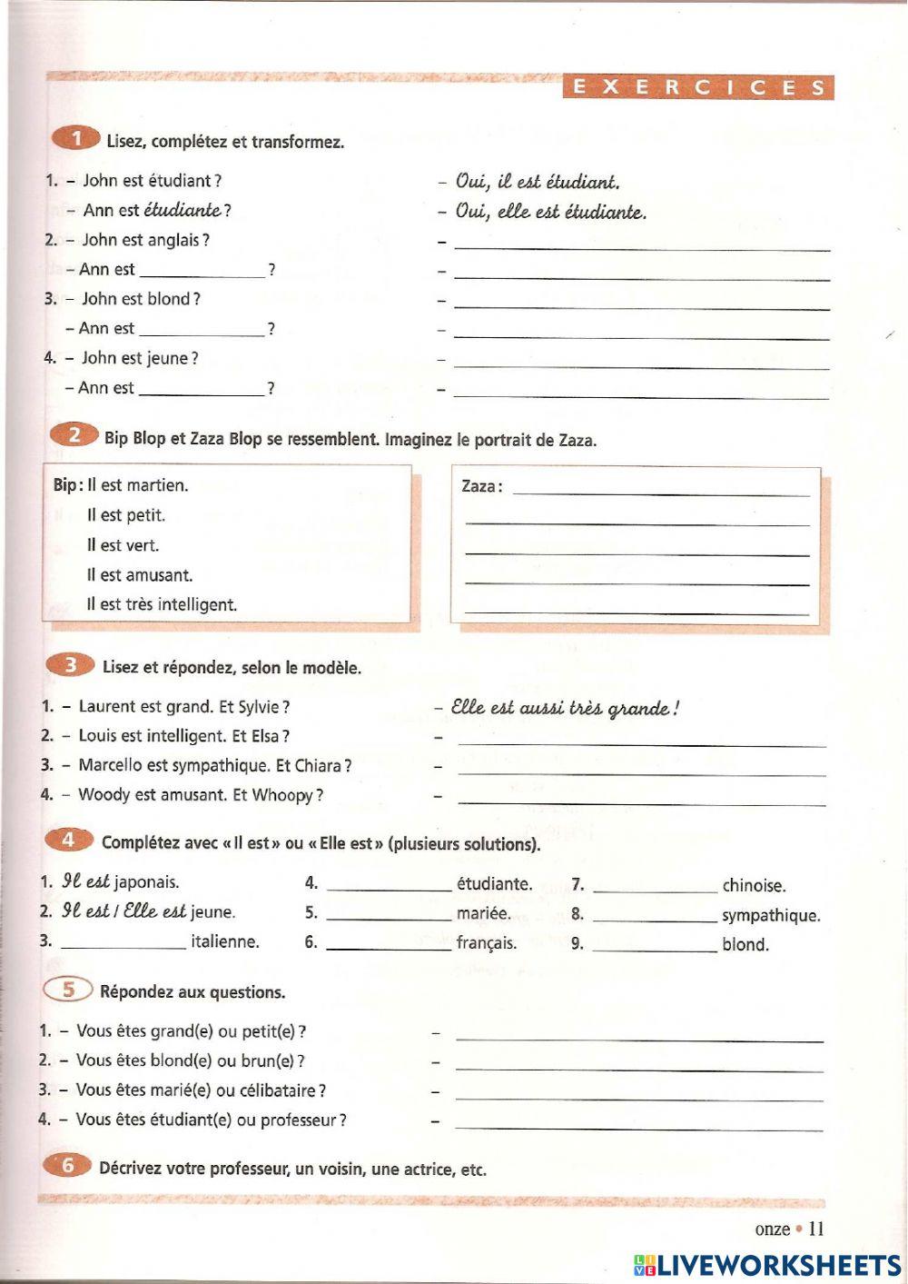 Le genre des adjectifs - Grammaire  