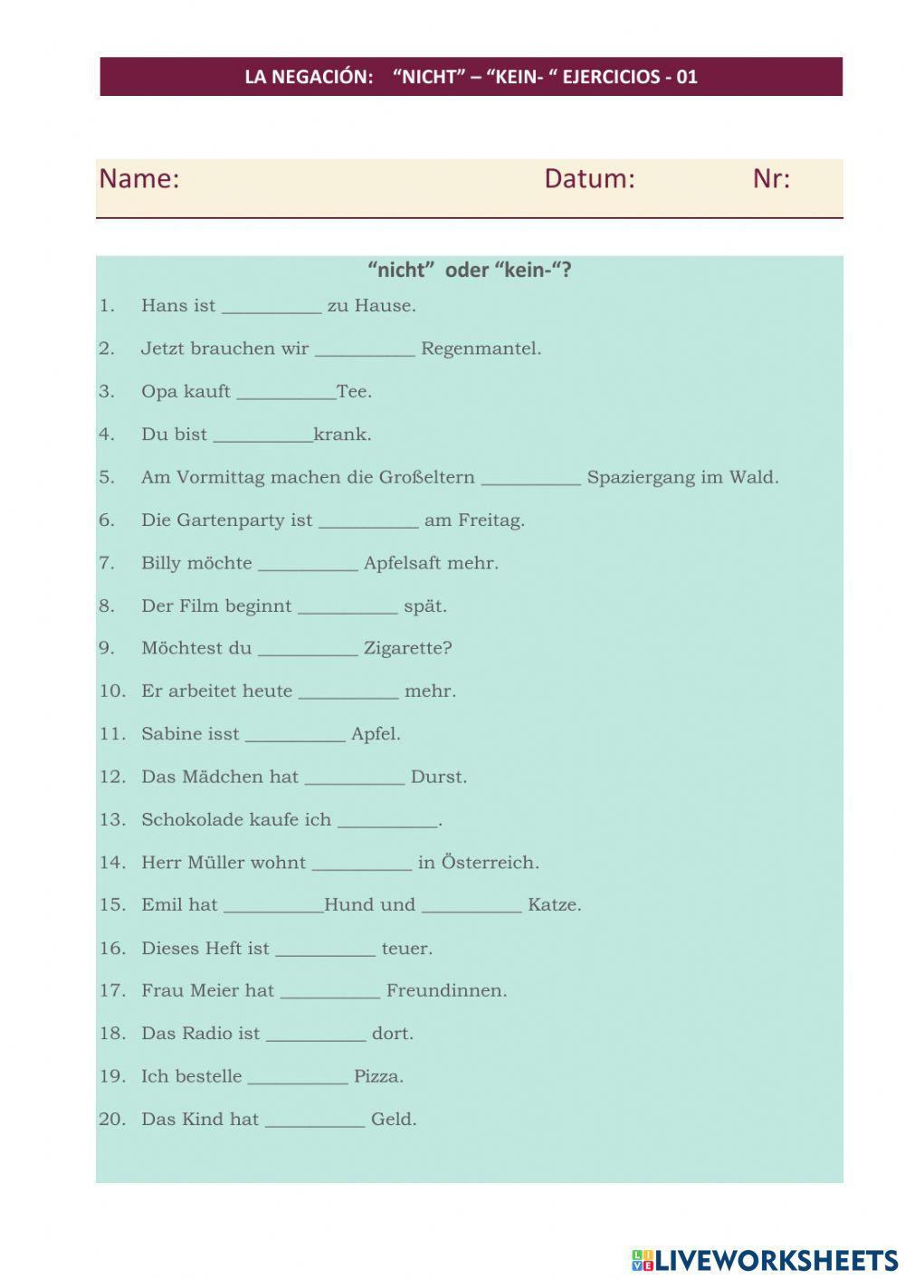 La Negacion : Nicht - kein- 01